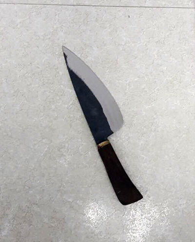 Dao gây án của Tài vứt tại hiện trường. Ảnh: Công an cung cấp.