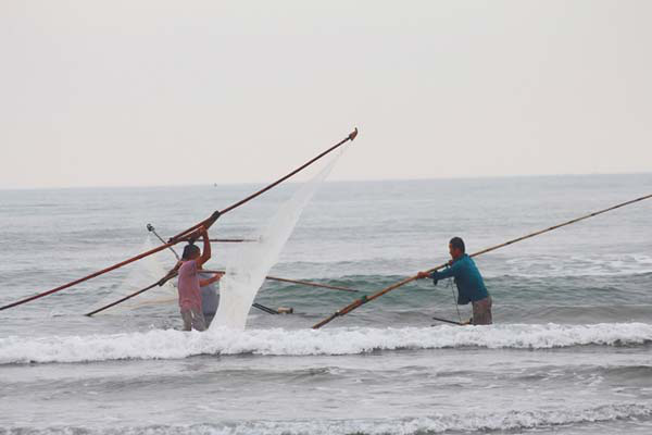 Thử một lần “săn” ruốc biển đặc sản Cửa Lò cùng ngư dân Nghệ An - Ảnh 5.