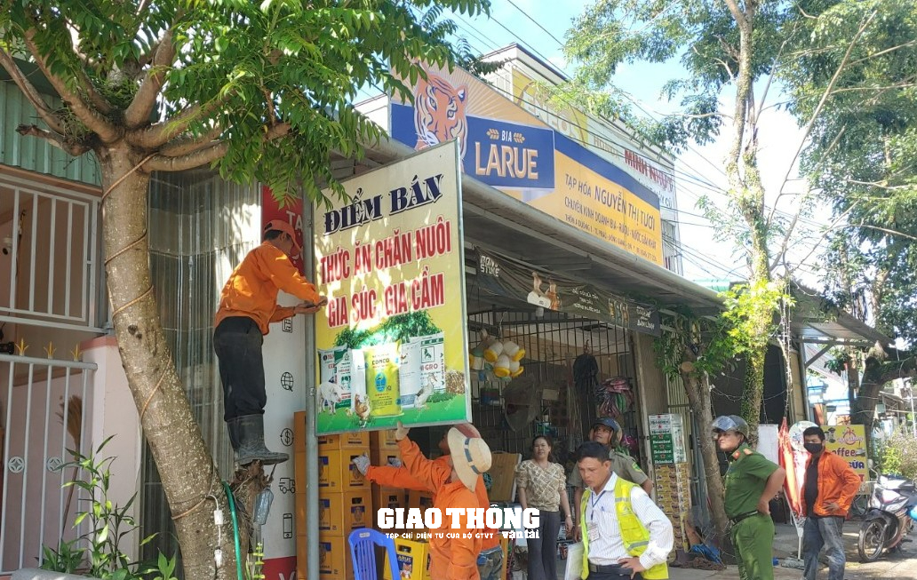 Tái diễn lấn chiếm hành lang an toàn đường bộ ở Gia Lai, Kon Tum và Quảng Nam - Ảnh 14.