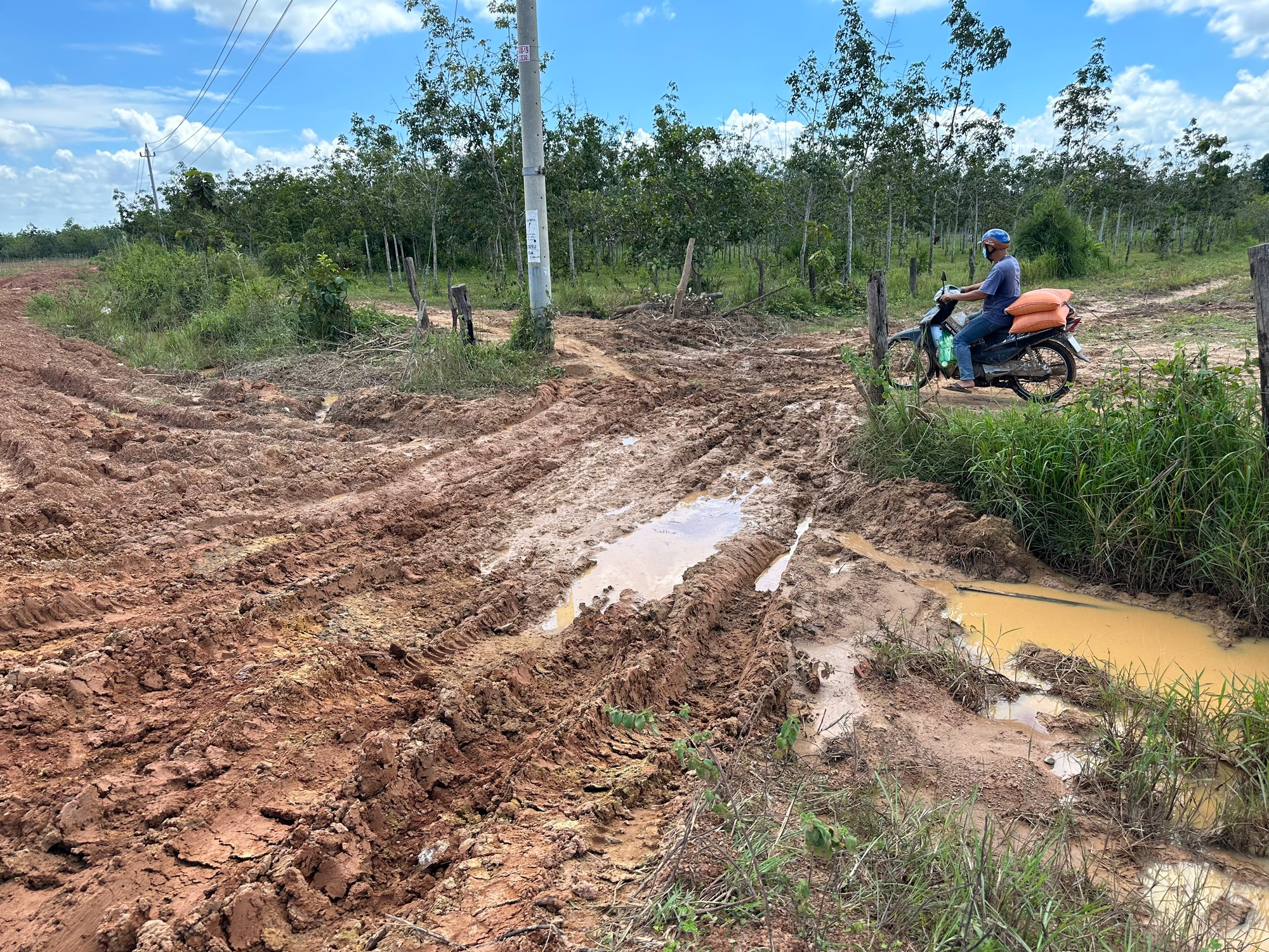 Đường liên xã ở Đắk Lắk xuống cấp trầm trọng: Làm khổ người dân - Ảnh 8.