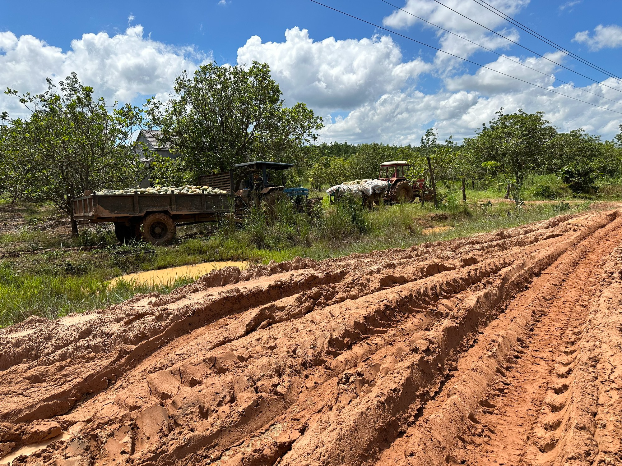 Đường liên xã ở Đắk Lắk xuống cấp trầm trọng: Làm khổ người dân - Ảnh 12.