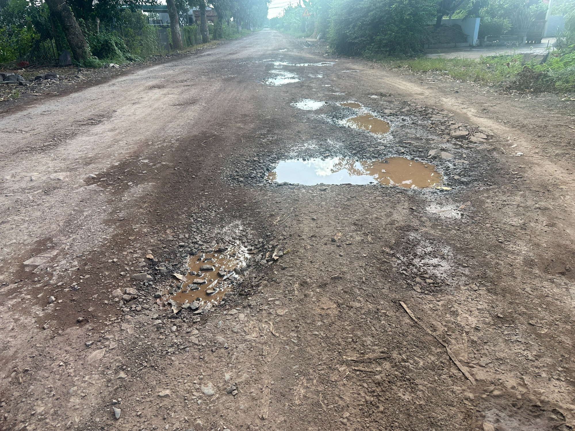 Dàn xe chở mì quá tải, quá khổ vô tư cày nát đường liên huyện có tải trọng 13 tấn ở Đắk Lắk - Ảnh 6.