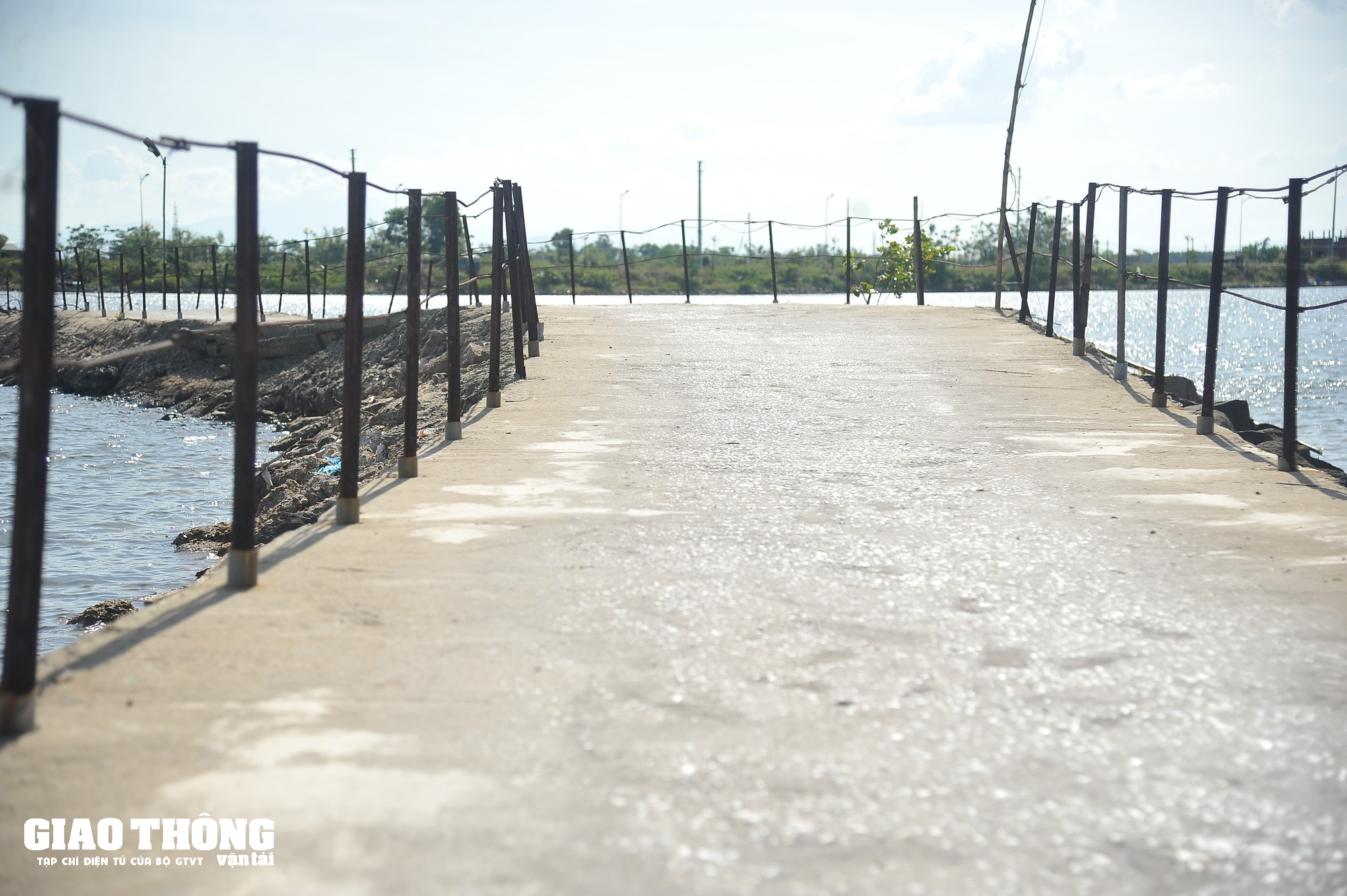 Năm nông dân xây cầu phao bắc qua sông Thạch Hãn - Ảnh 6. Năm nông dân xây cầu phao bắc qua sông Thạch Hãn - Ảnh 6.