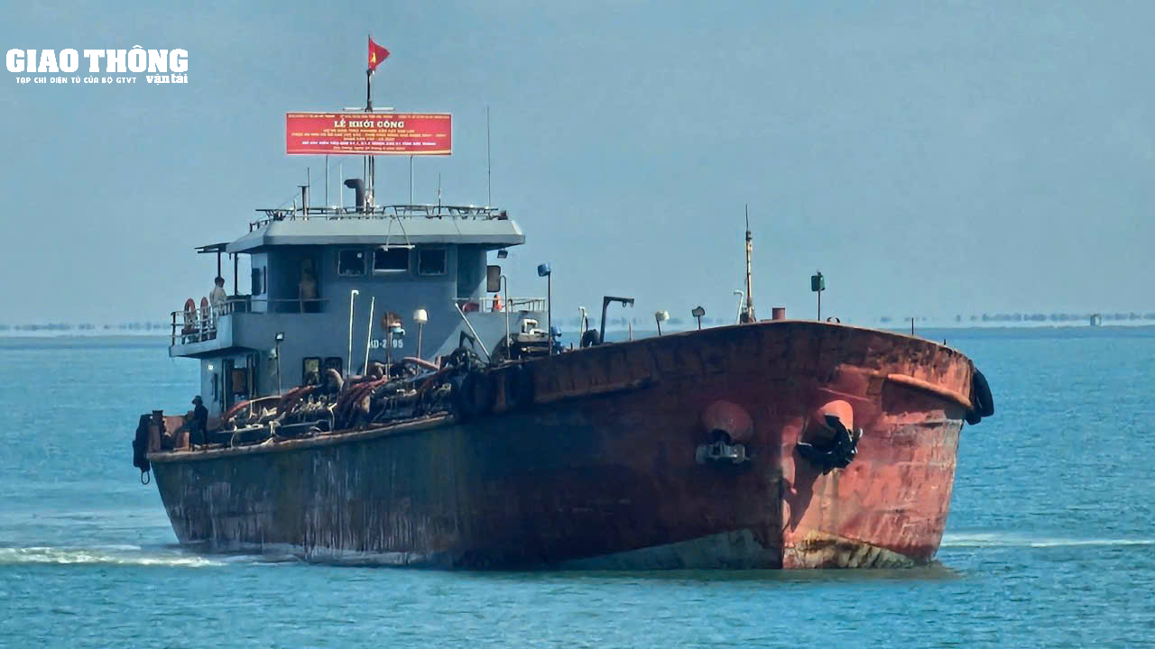 Tận thấy những cánh đồng lúa xanh mướt tại điểm thi công cát biển - Ảnh 4.