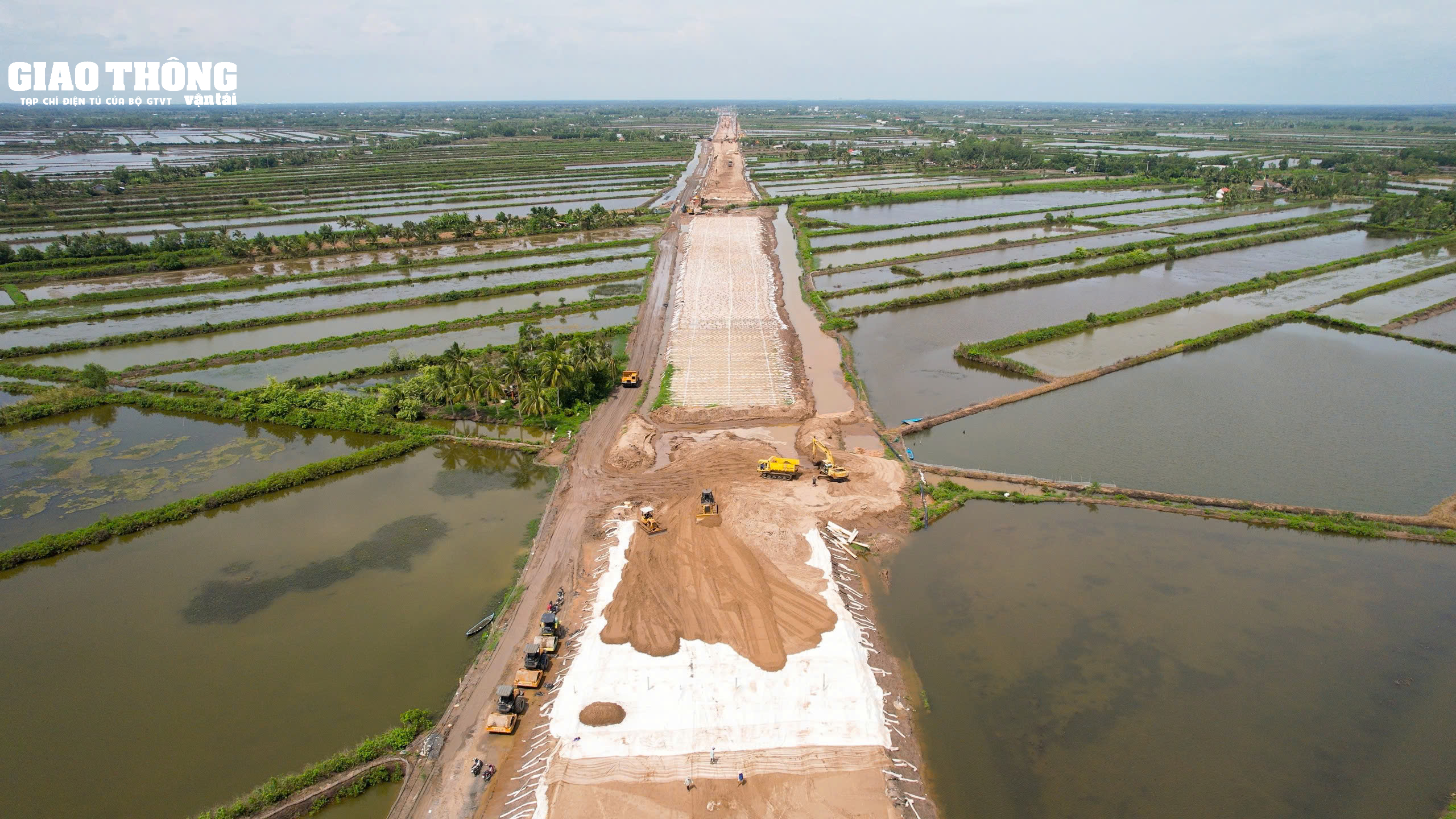 Tận thấy những cánh đồng lúa xanh mướt tại điểm thi công cát biển - Ảnh 1.