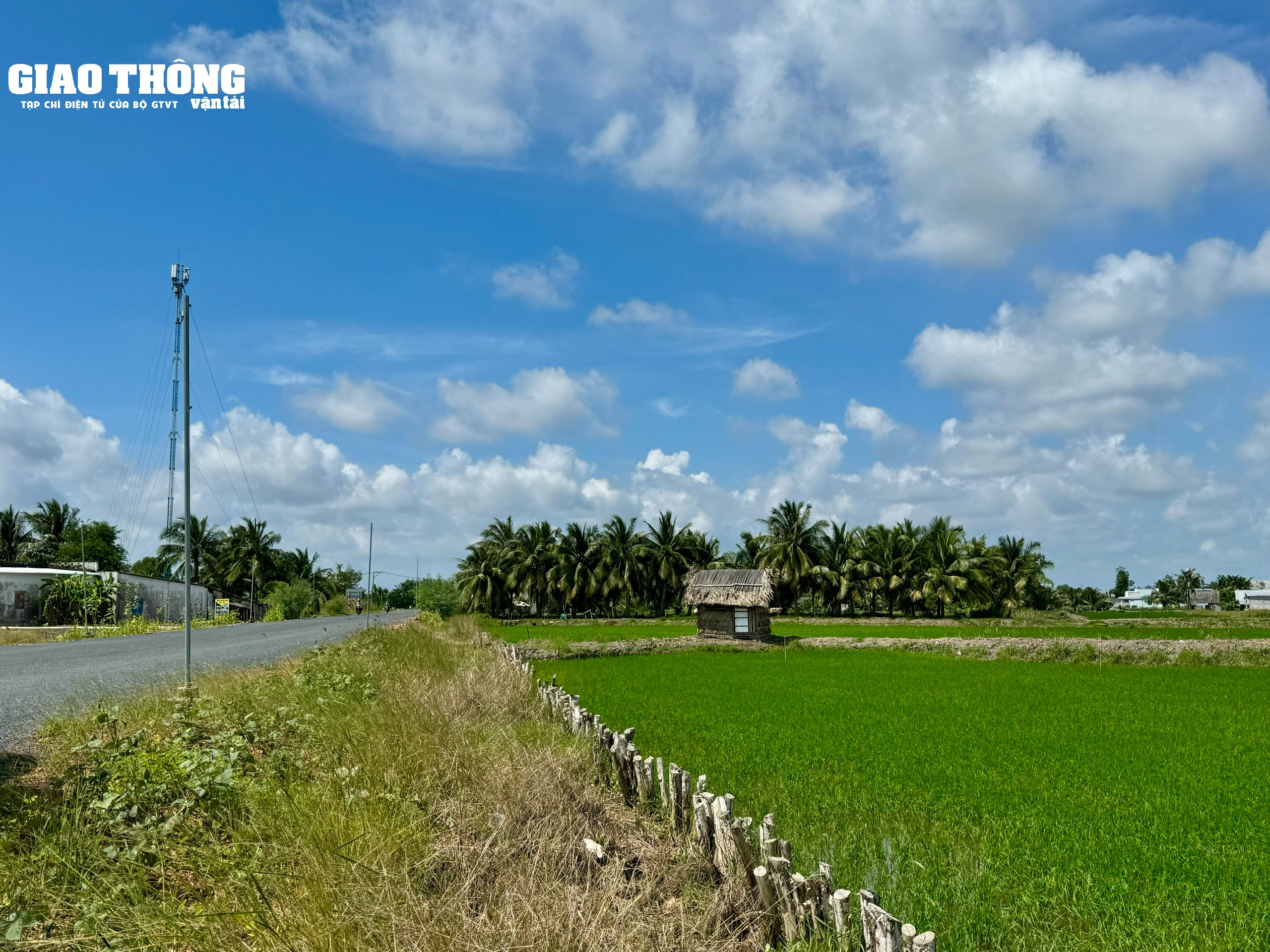 Tận thấy những cánh đồng lúa xanh mướt tại điểm thi công cát biển - Ảnh 6.