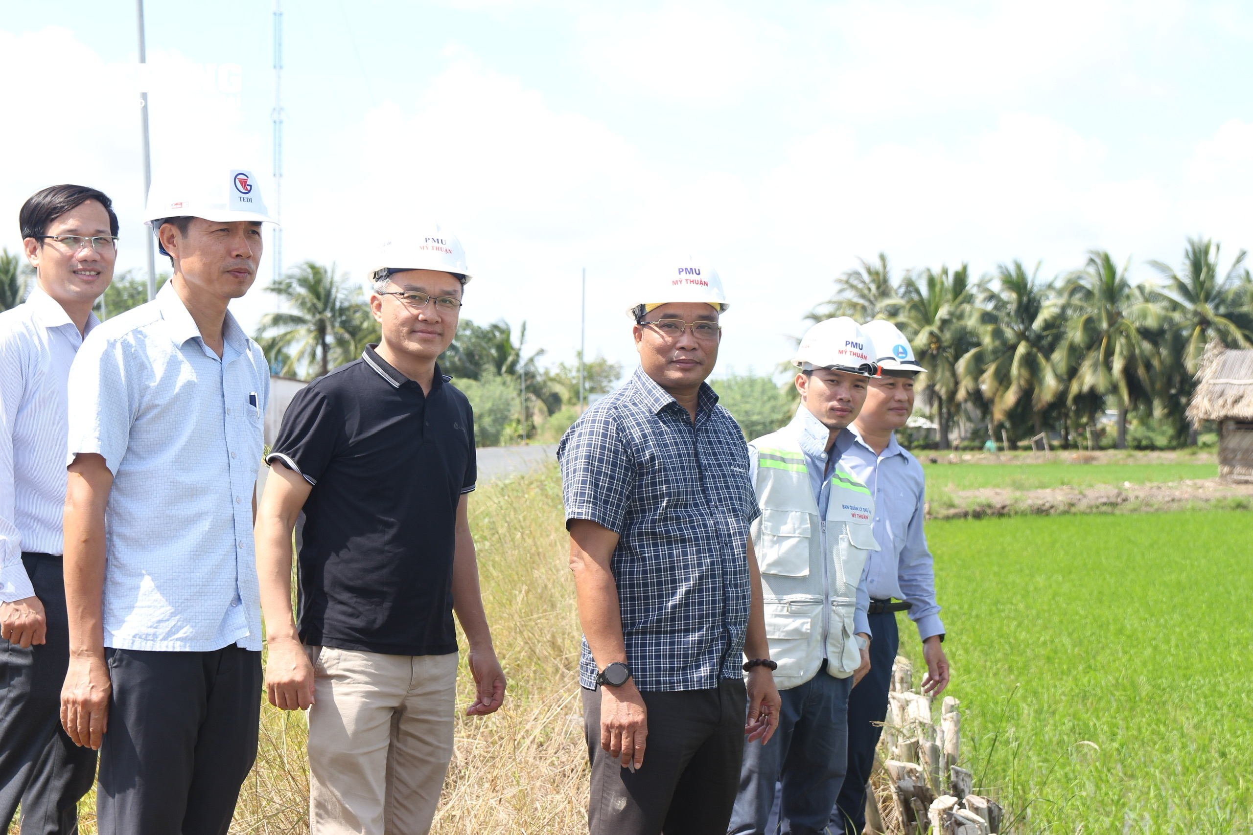 Tận thấy những cánh đồng lúa xanh mướt tại điểm thi công cát biển - Ảnh 5.