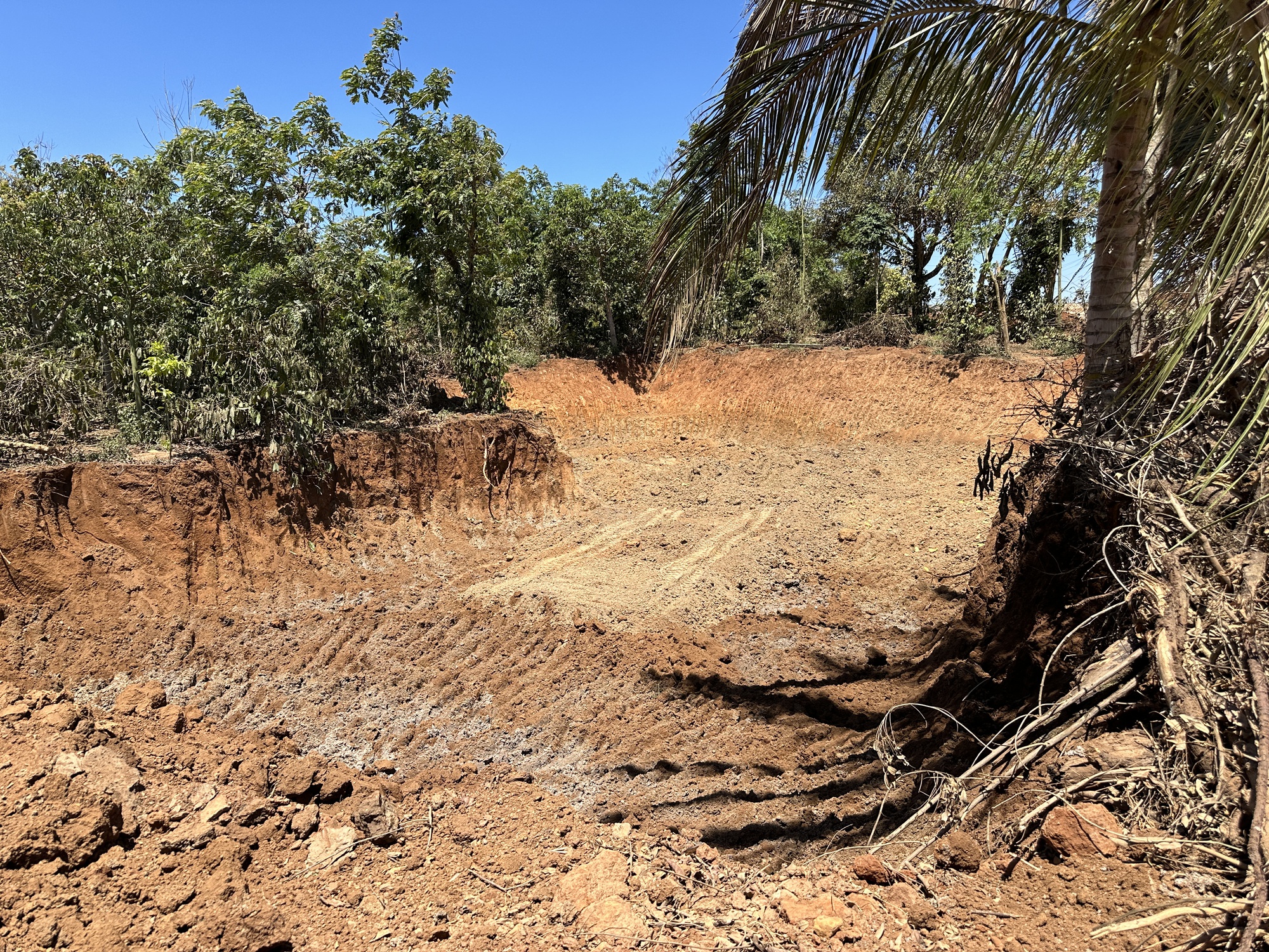 Xe chở đất trái phép, không phủ bạt ở Đắk Lắk gây mất ATGT- Ảnh 5.