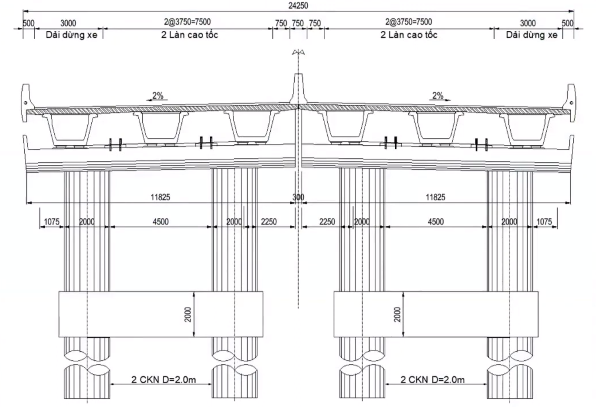 Cầu cạn thi công nhanh có là giải pháp phù hợp với đồng bằng sông Cửu Long? - Ảnh 10.