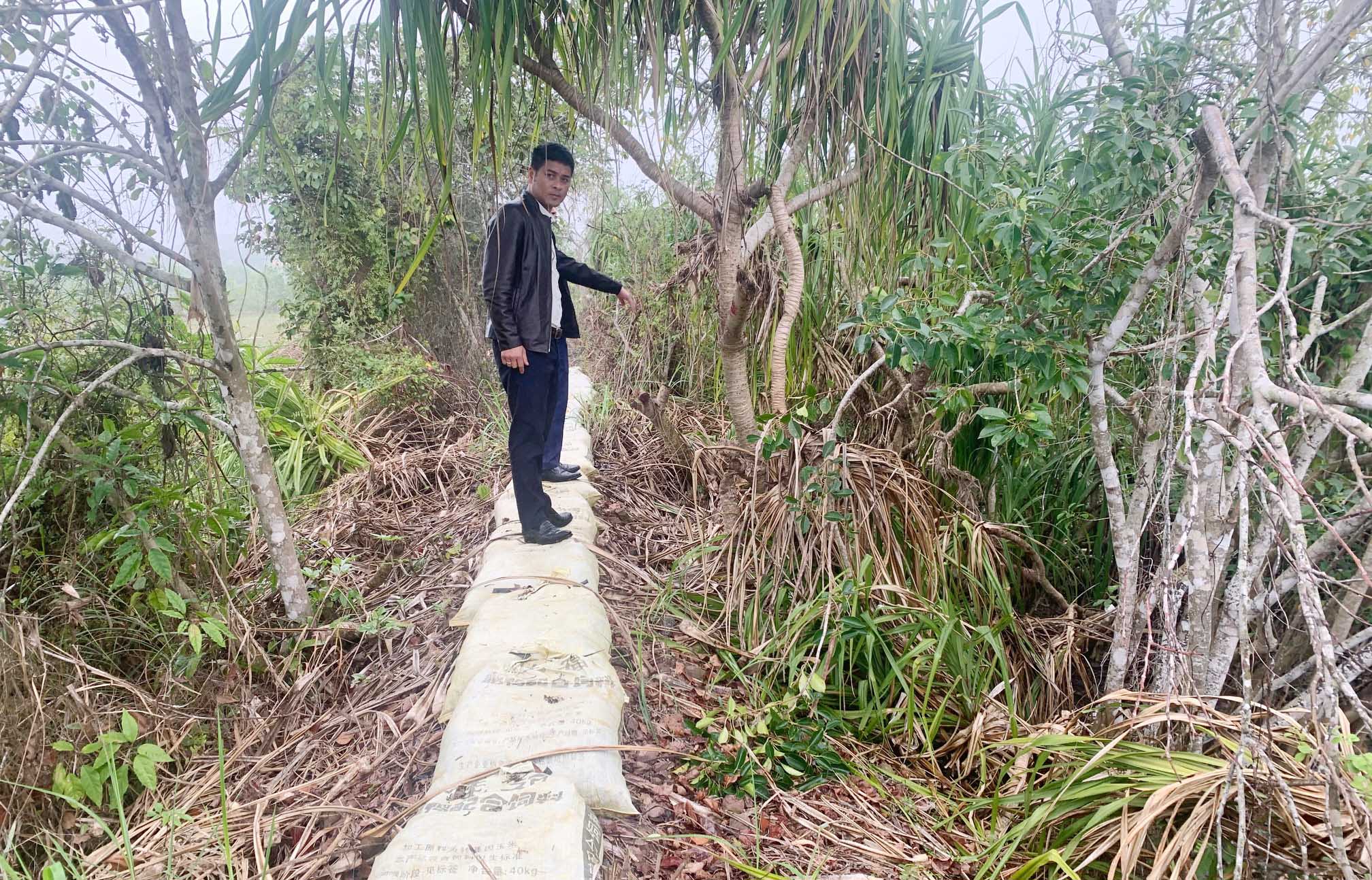 Quảng Ninh: Cần sớm nâng cấp tuyến đê tại xã Đường Hoa - Ảnh 1.