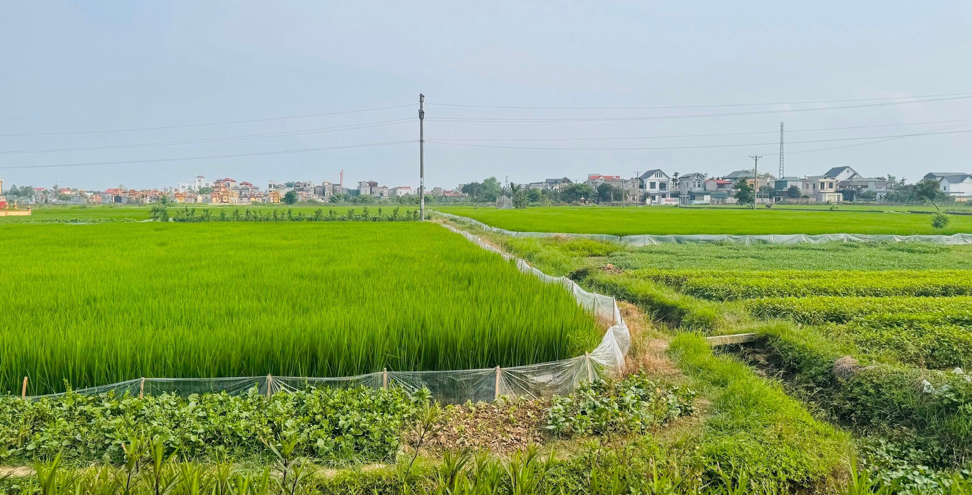 Hoàn thành bàn giao 441 mốc giới dự án đường sắt Lào Cai - Hà Nội - Hải Phòng qua Hải Dương- Ảnh 1.