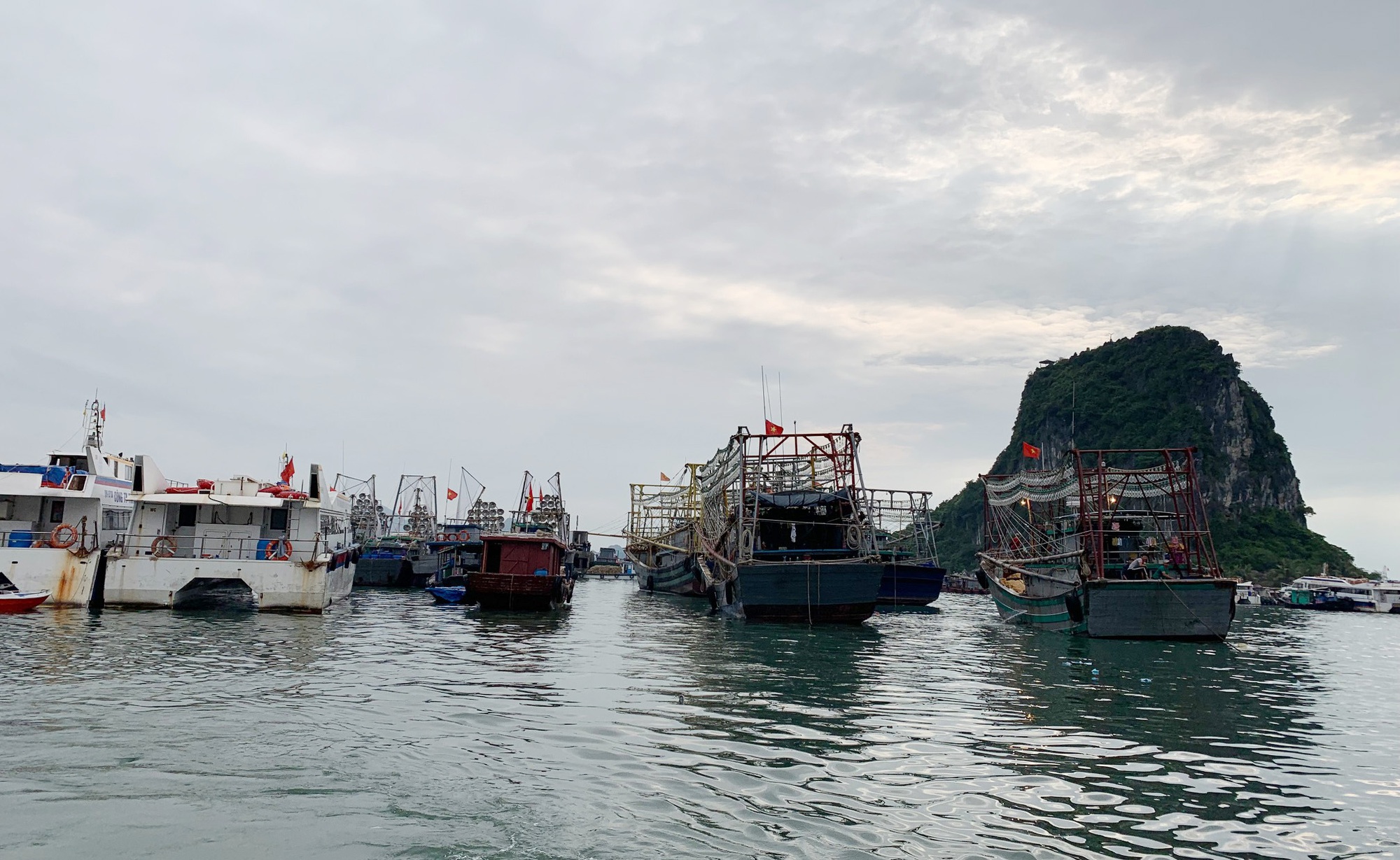 Quảng Ninh tạm ngừng cấp phép tàu ra khơi do ảnh hưởng của bão số 5 - Ảnh 1.
