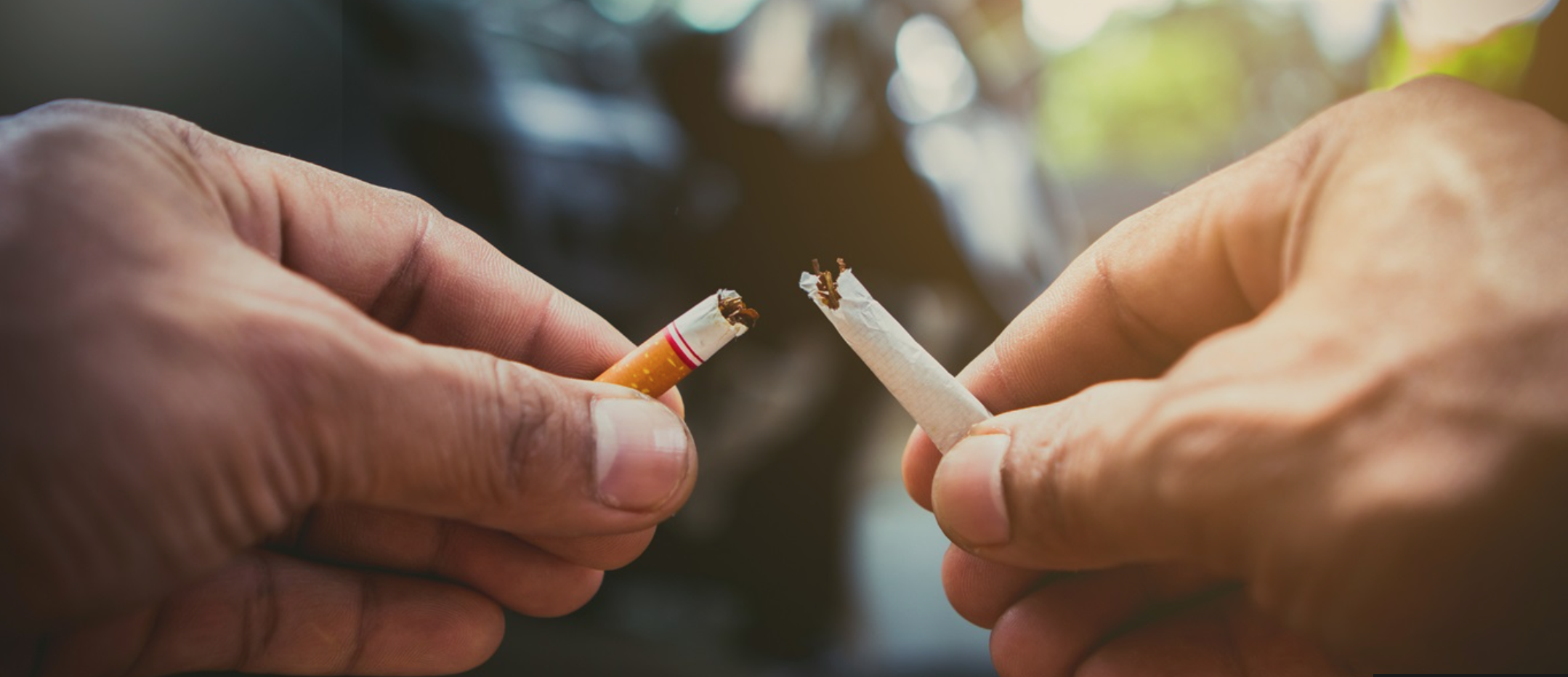 Screen Shot 2021-12-17 at 16.00.02