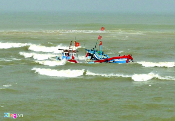 812_Anh_1_Tau_ca_chim_gui_zing_1