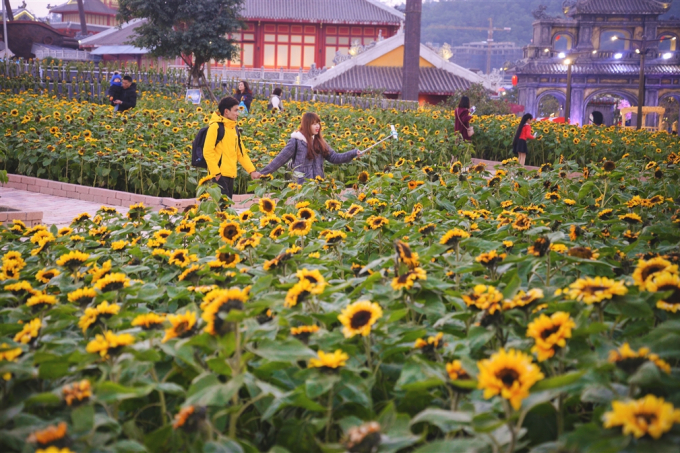 anh 8- Le hoi ky quan muon sac hoa