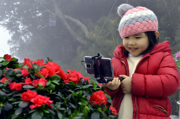 Hoa do quyen Fansipan (19)