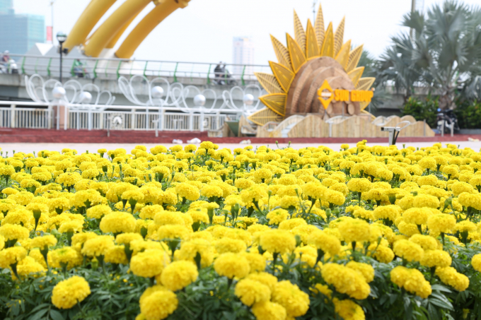 Tiểu cảnh đường hoa Đà Nẵng đang được thi công (6)