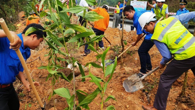 tet-trong-cay-cuc-qldb-3-14--1549963054-width1004h