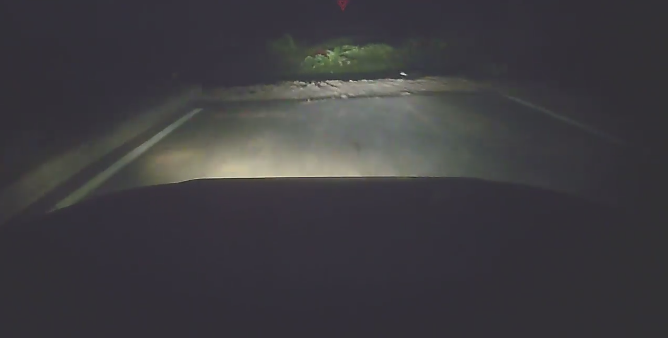 Screen Shot 2019-11-14 at 2.51.20 PM