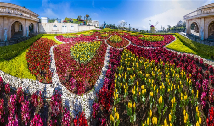 2 Hoa Tulip ở Bà Nà Hills
