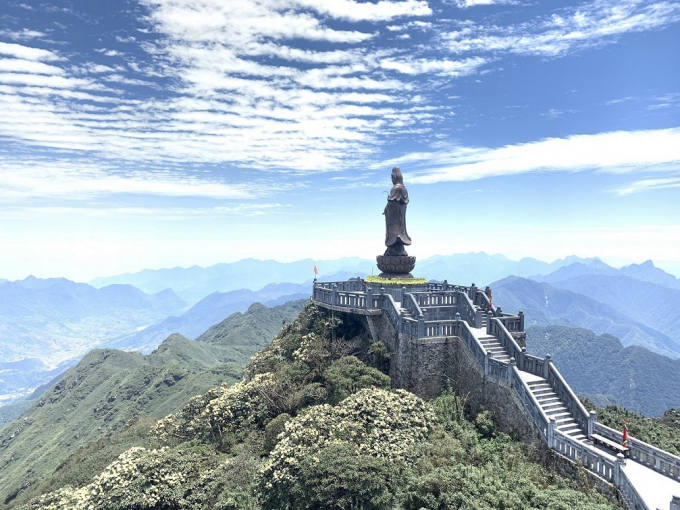 4. Khung cảnh hùng vỹ của núi rừng Hoàng Liên nhìn