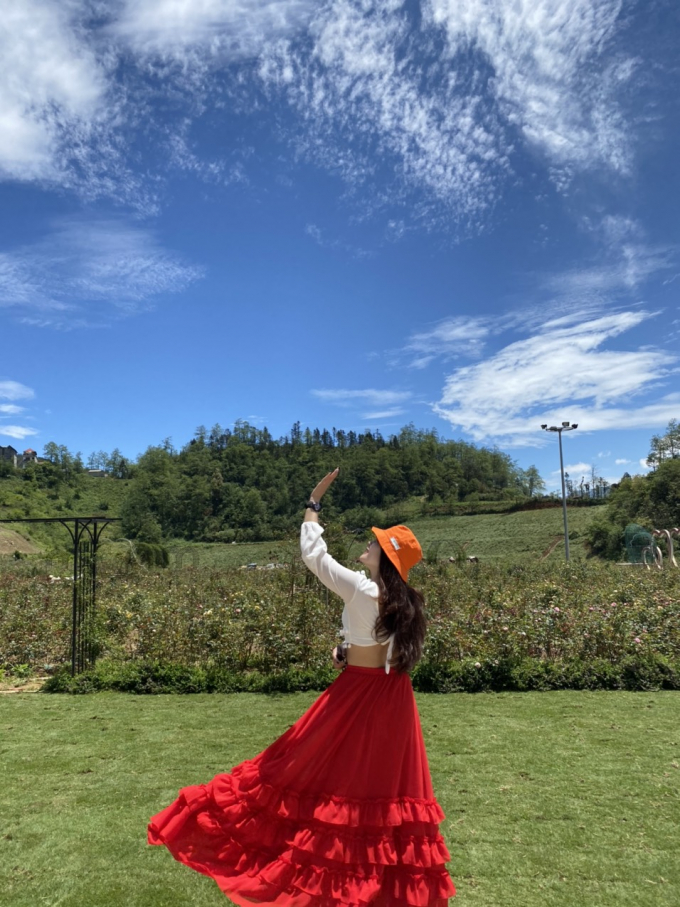 9. Vườn hoa hồng chi chít nụ và hoa  tại Fansipan