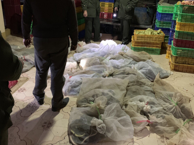 z1232010333588_adc1048306a312f814a34f5bffbc91a1(1)