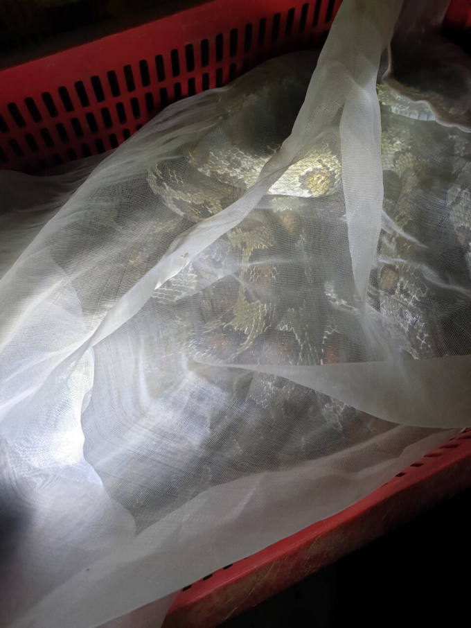 z1232010337574_d9f4654ab6a22c1226be6f26fddc0e07(1)