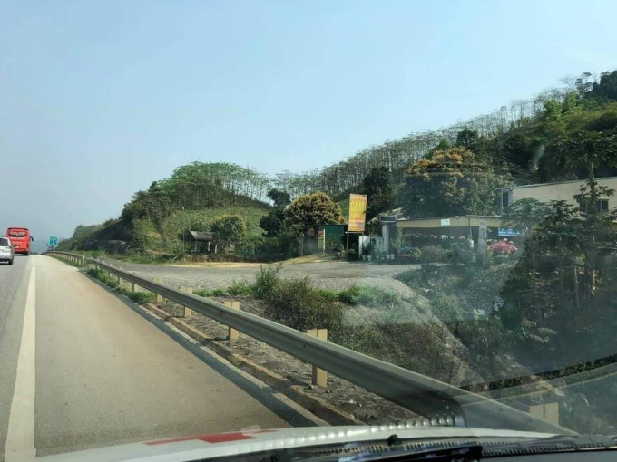 received_1929903793833468.