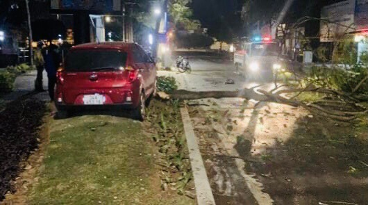 260358250_733797898014638_6305191863248695587_n