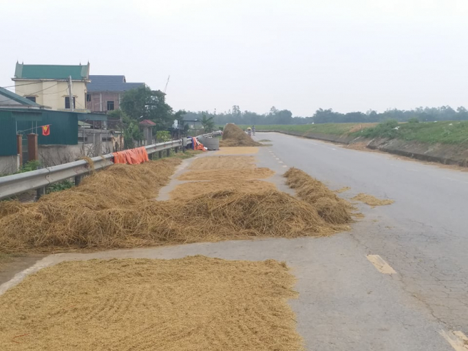 59939698_803595320014126_7665106800345088000_n