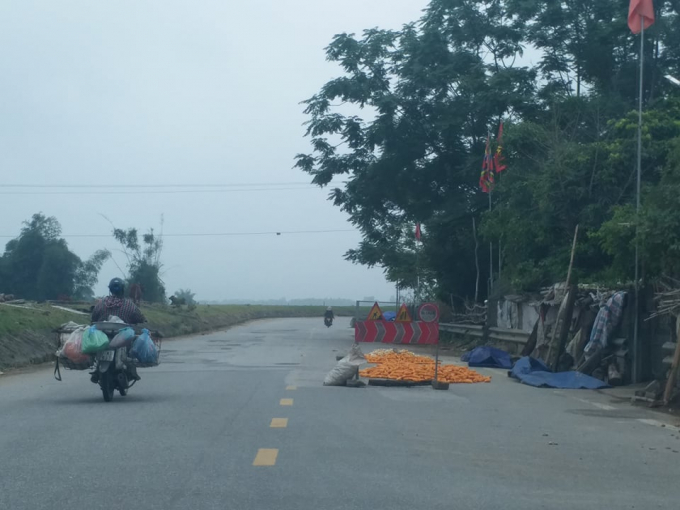 60006435_442791979817097_2645705910239887360_n