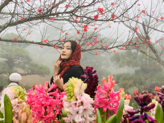 Hương xuân rực rỡ Fansipan