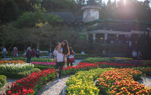 Screen Shot 2020-02-12 at 4.54.05 PM