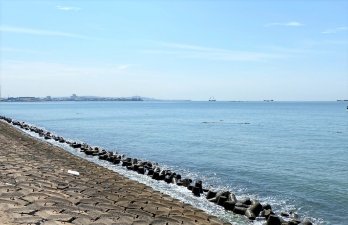 233E9B6B-2779-41C7-ACC1-8DEC7F12E8C5.