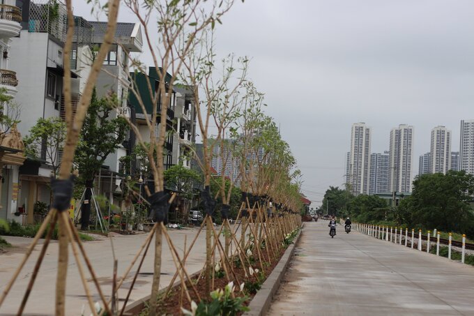 Cây xanh được trồng, hệ thống đèn đường được lắp,… Nhiều người đi qua sẽ không biết đây là đoạn đường vi phạm được dân tự ý xây trên hành lang an toàn đường sắt.