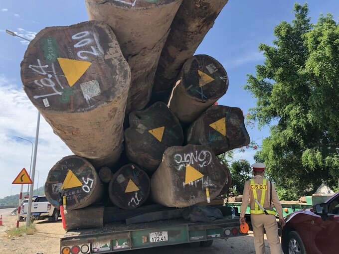 Xe chở 13 khối gỗ tròn từ Hải Phòng và TP. Hồ Chí Minh