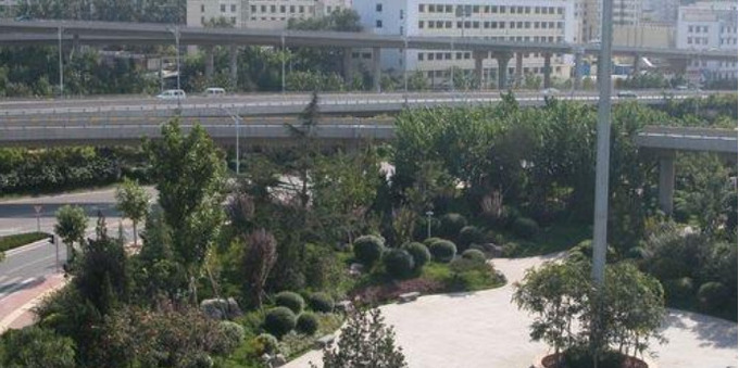 Công viên cây xanh dưới gầm cầu vượt ở Tế Nam, Trung Quốc