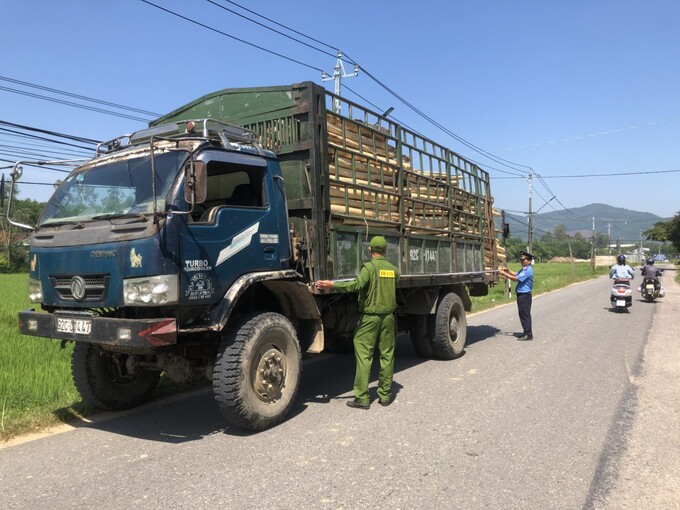 Kiểm tra kích thường hành thùng xe tải chở gỗ keo có dấu hiệu vi phạm.
