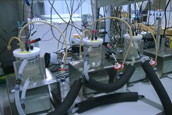 food-from-electricity-8-1501270030337-crop15012703