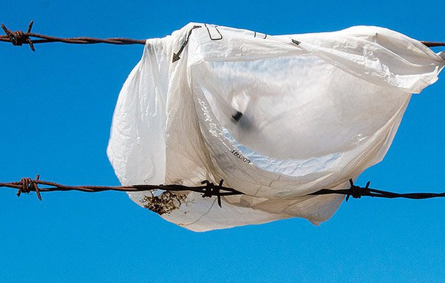 photo-1-1504245618260-1-0-410-655-crop-15042456388