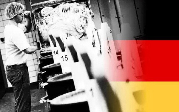 photo1534733896213-15347338962131033413651