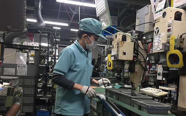 photo1544403818535-1544403818667-crop-154440386465