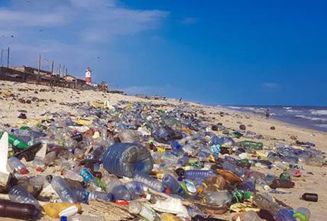 29fe2fe4-de16-458e-abd9-f657da0615d4