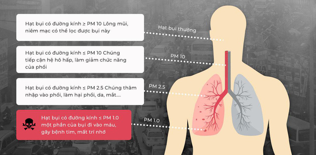 image003-15611018126761954911430