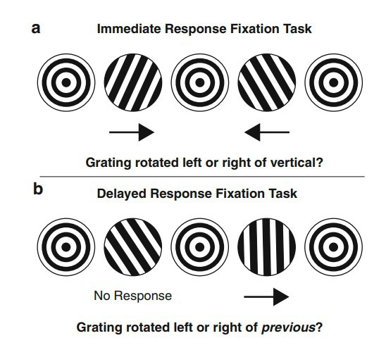 chu-thich-2019-07-03-171356-1562148850654153026303