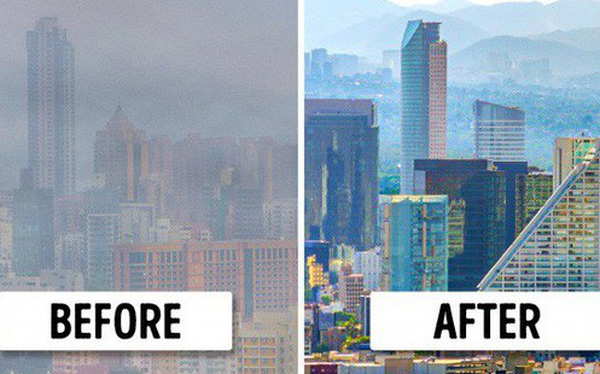 photo1568771156512-1568771156694-crop-156877120203