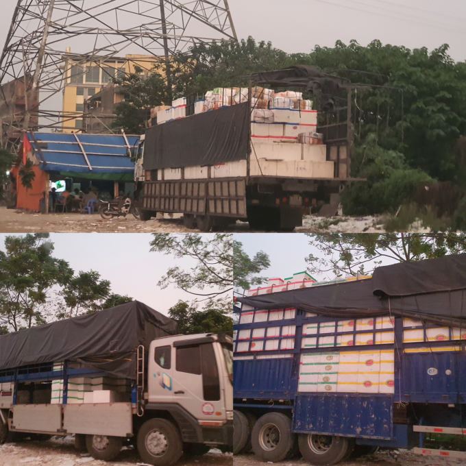 ECF85635-4166-4B61-BB50-9EE94CCC8C63.