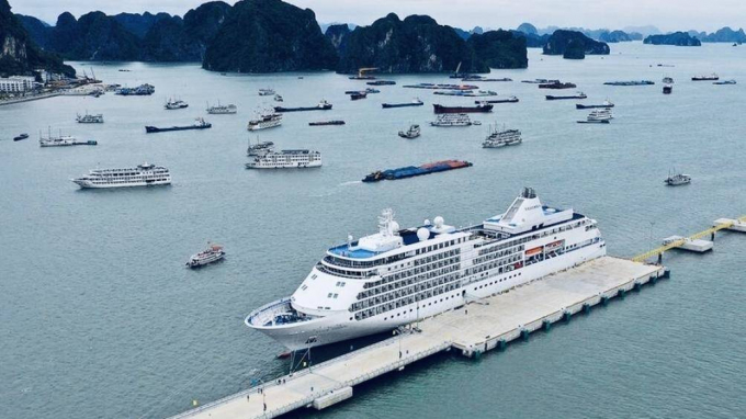 taubienhalong-1573716963-width888height594-1573717