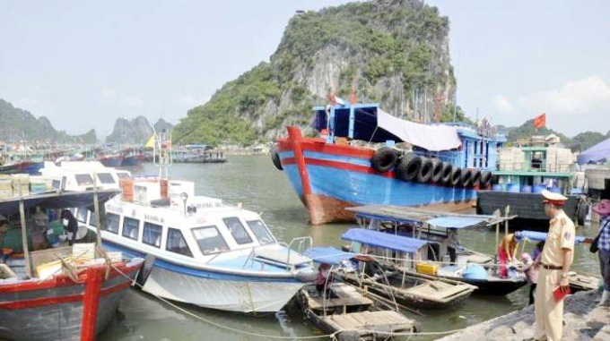 images1436822_dam_bao_ATGT_thuy